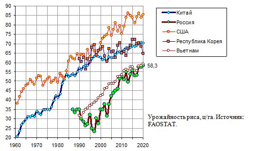 Урожайность риса в России и странах мира, ц/га, 1961 - 2020